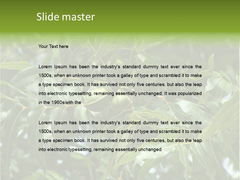 A Green Tree With Leaves And Nuts On It PowerPoint Template