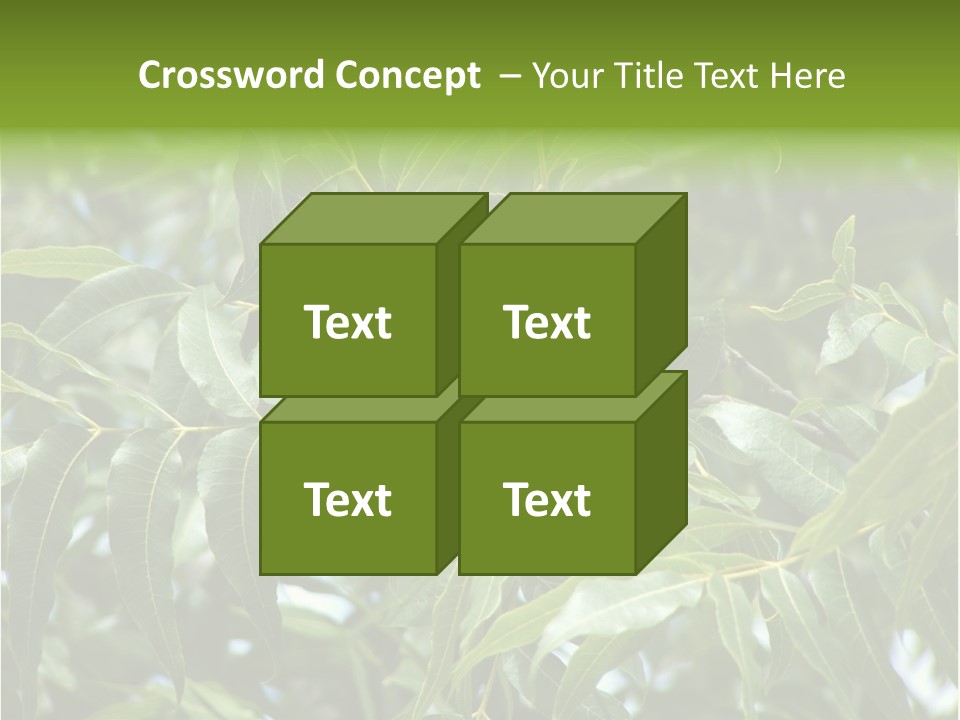 A Green Tree With Leaves And Nuts On It PowerPoint Template