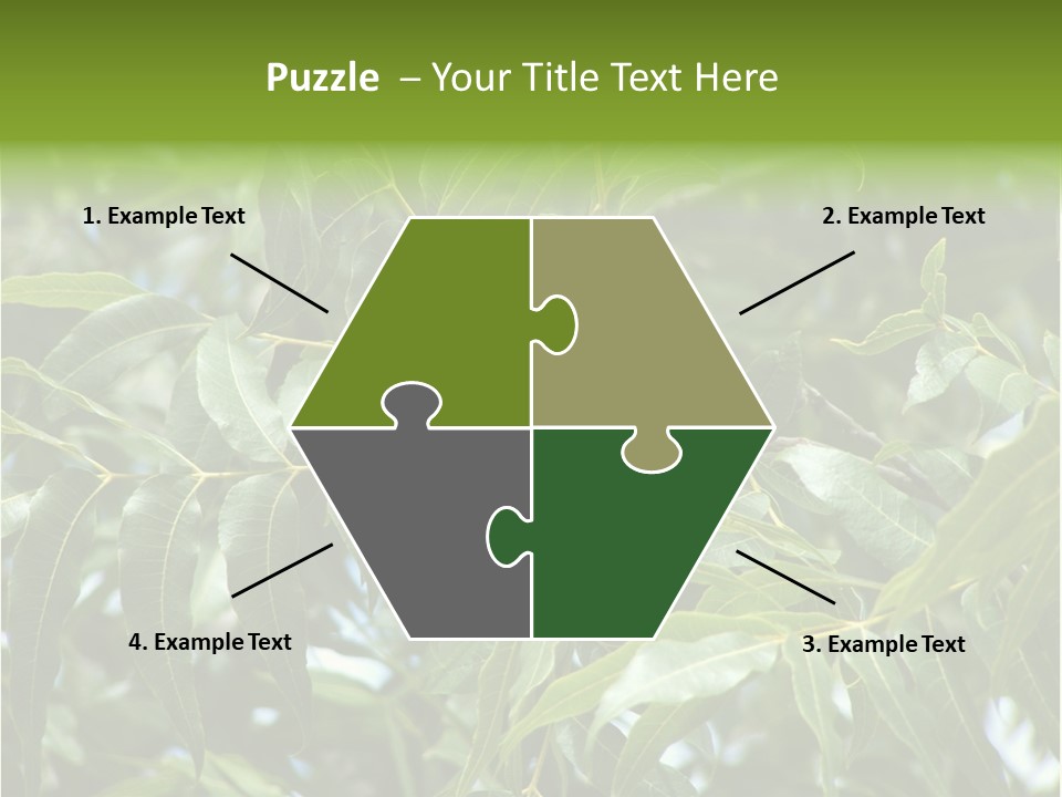 A Green Tree With Leaves And Nuts On It PowerPoint Template