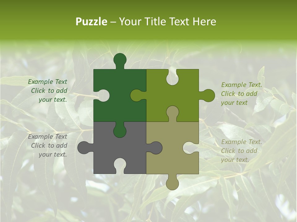 A Green Tree With Leaves And Nuts On It PowerPoint Template