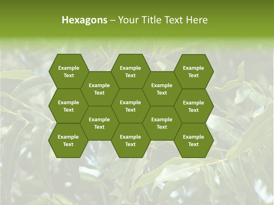 A Green Tree With Leaves And Nuts On It PowerPoint Template