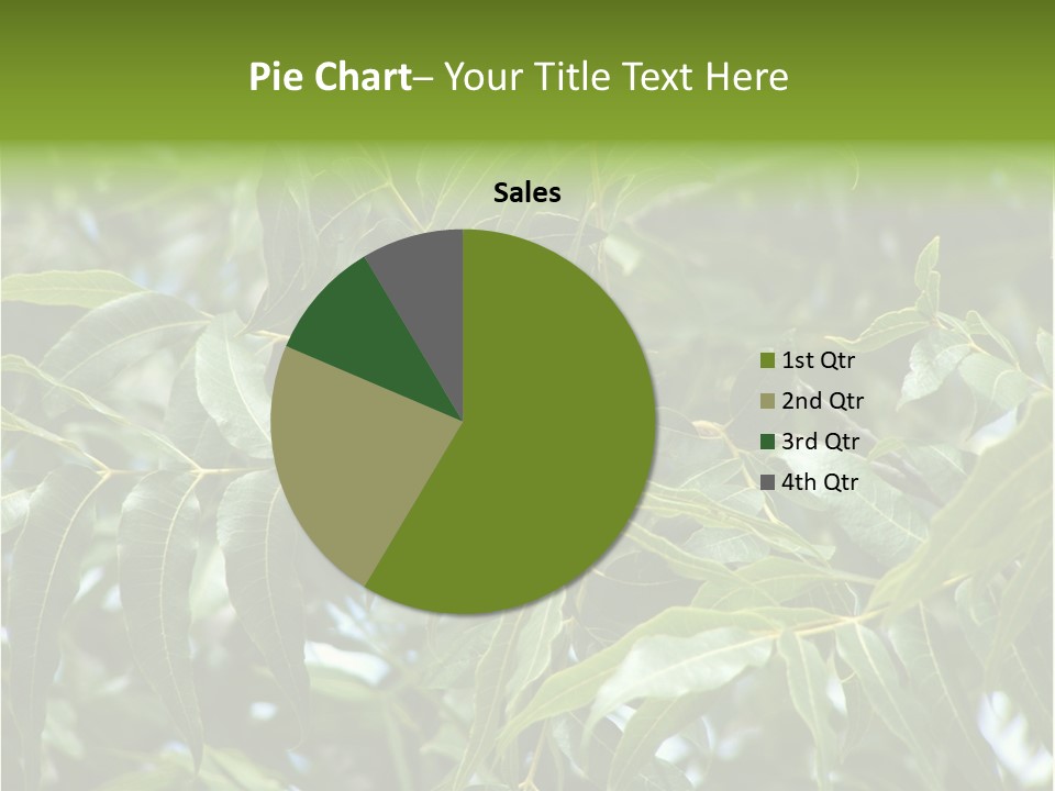A Green Tree With Leaves And Nuts On It PowerPoint Template