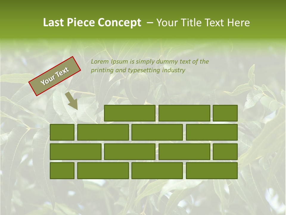 A Green Tree With Leaves And Nuts On It PowerPoint Template