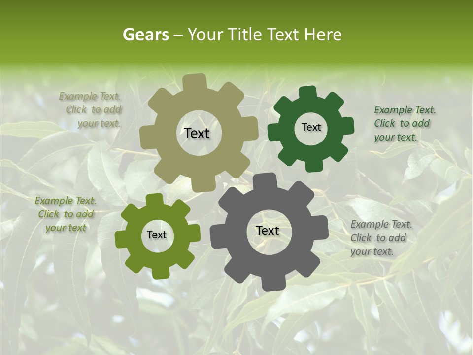 A Green Tree With Leaves And Nuts On It PowerPoint Template