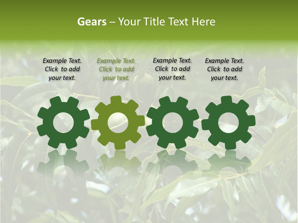 A Green Tree With Leaves And Nuts On It PowerPoint Template