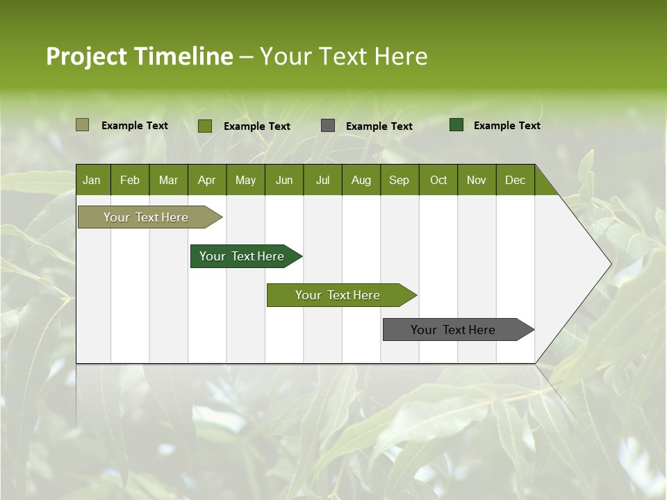 A Green Tree With Leaves And Nuts On It PowerPoint Template