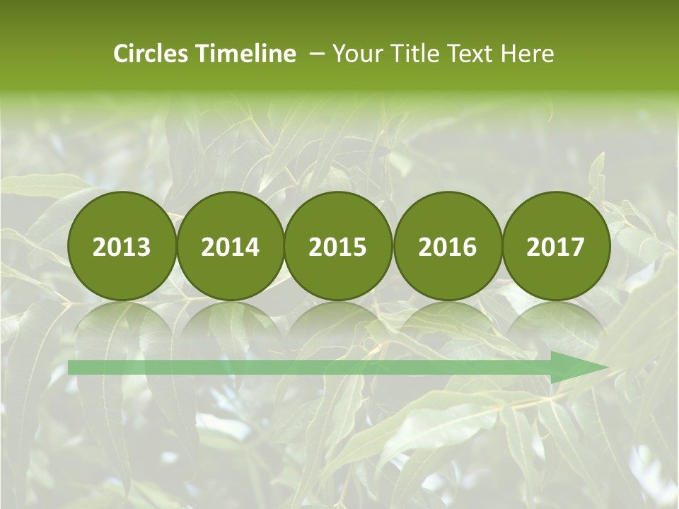 A Green Tree With Leaves And Nuts On It PowerPoint Template