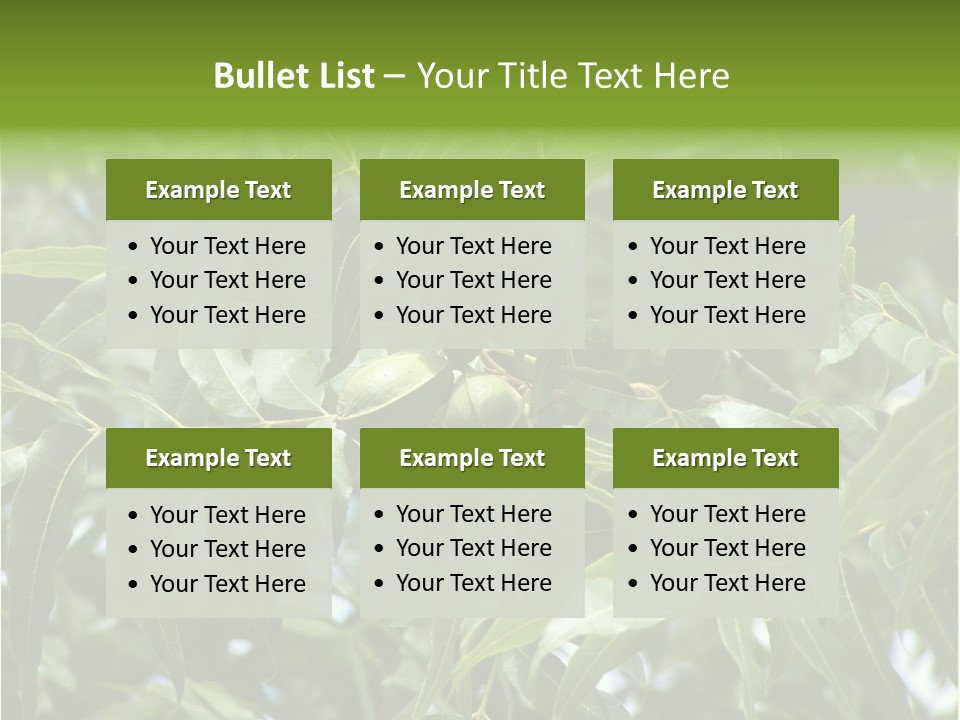 A Green Tree With Leaves And Nuts On It PowerPoint Template