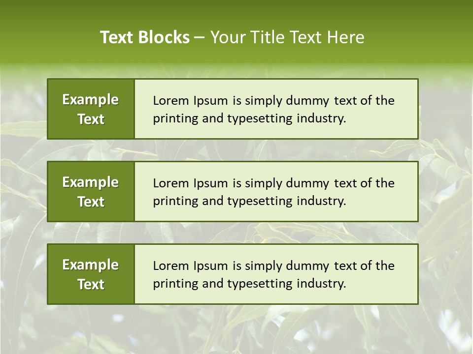 A Green Tree With Leaves And Nuts On It PowerPoint Template