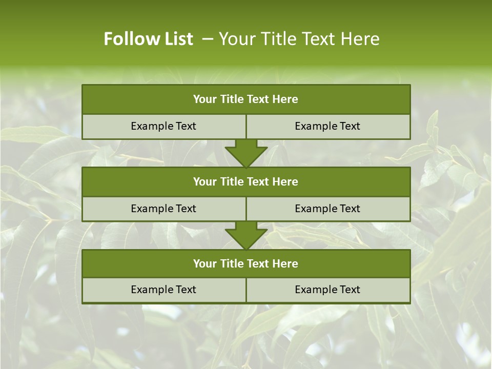 A Green Tree With Leaves And Nuts On It PowerPoint Template
