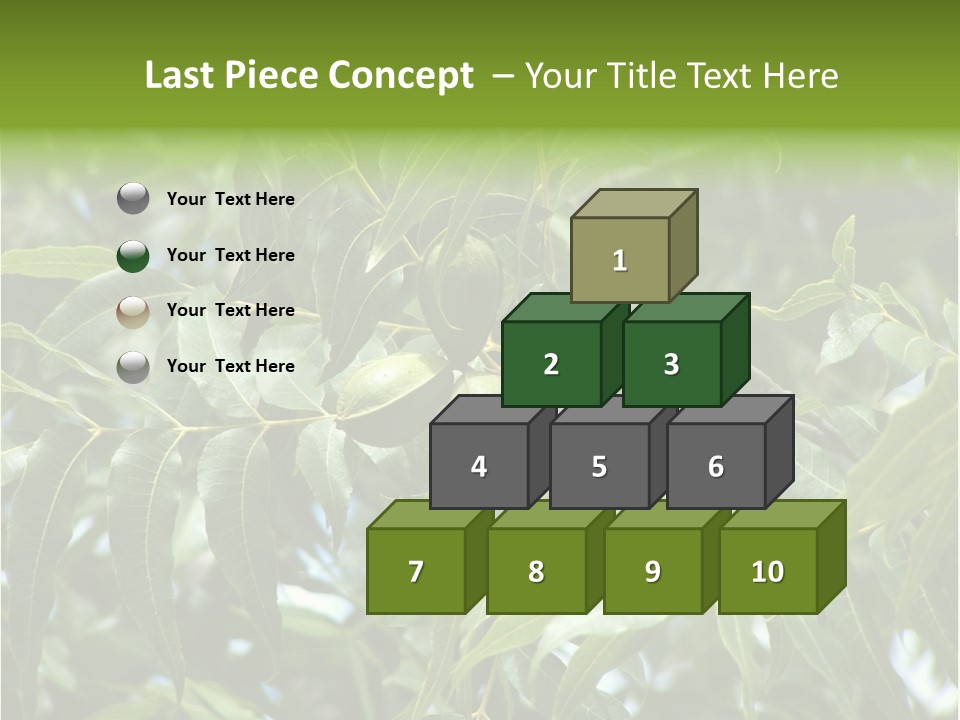 A Green Tree With Leaves And Nuts On It PowerPoint Template