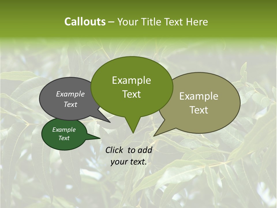 A Green Tree With Leaves And Nuts On It PowerPoint Template