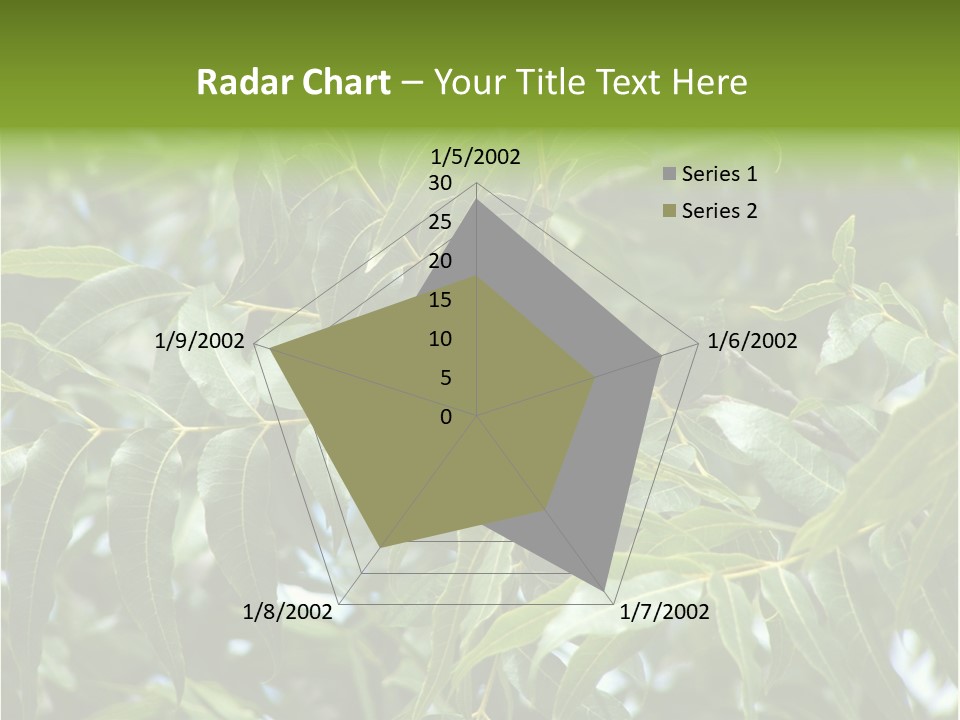 A Green Tree With Leaves And Nuts On It PowerPoint Template