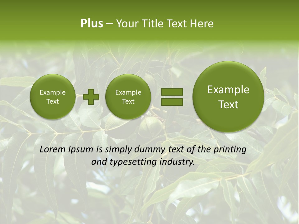 A Green Tree With Leaves And Nuts On It PowerPoint Template