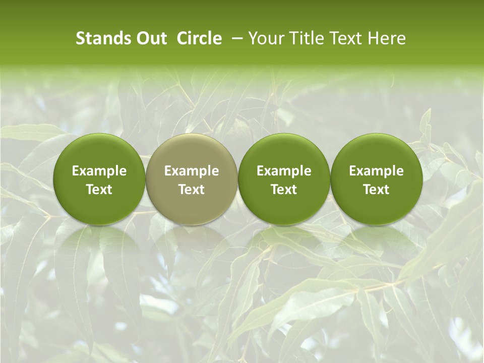 A Green Tree With Leaves And Nuts On It PowerPoint Template