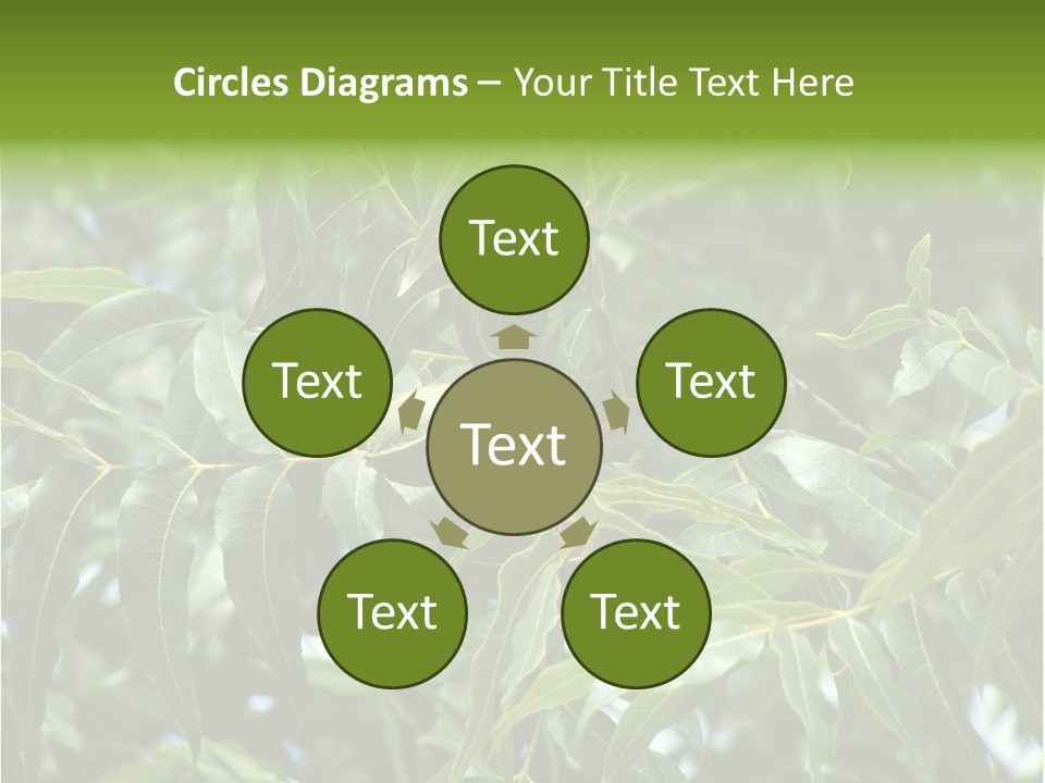 A Green Tree With Leaves And Nuts On It PowerPoint Template