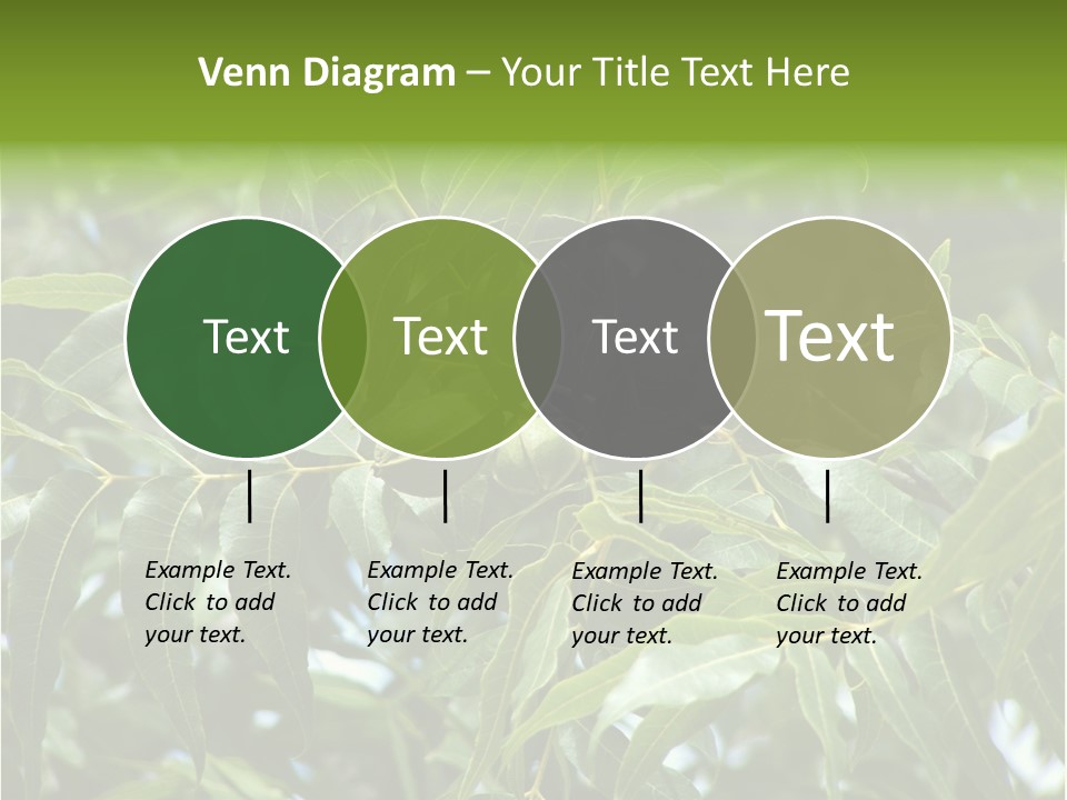 A Green Tree With Leaves And Nuts On It PowerPoint Template