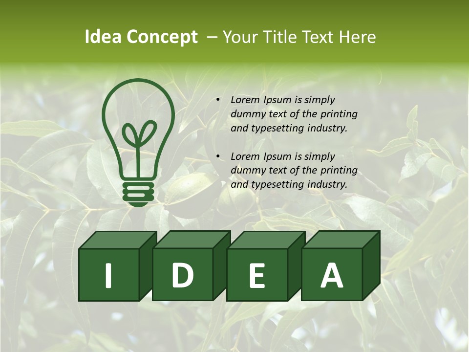 A Green Tree With Leaves And Nuts On It PowerPoint Template