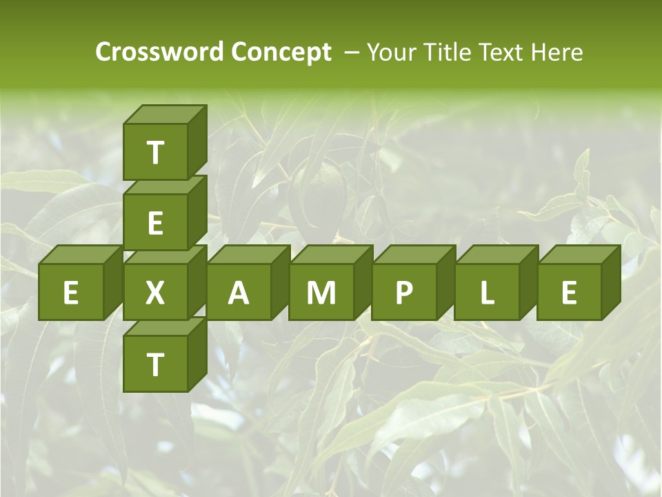A Green Tree With Leaves And Nuts On It PowerPoint Template