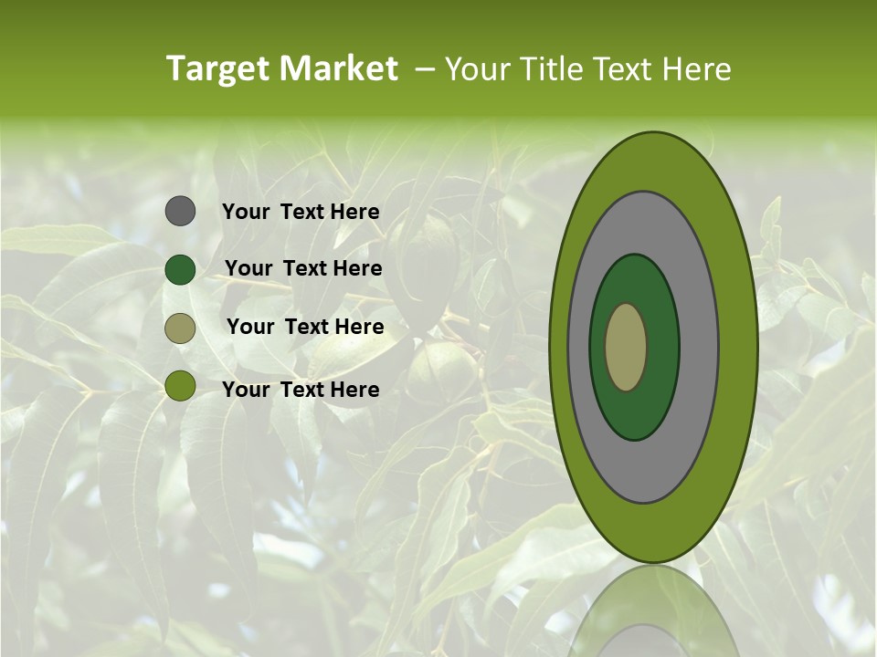 A Green Tree With Leaves And Nuts On It PowerPoint Template