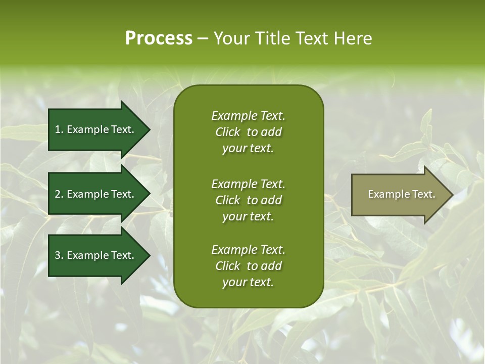 A Green Tree With Leaves And Nuts On It PowerPoint Template