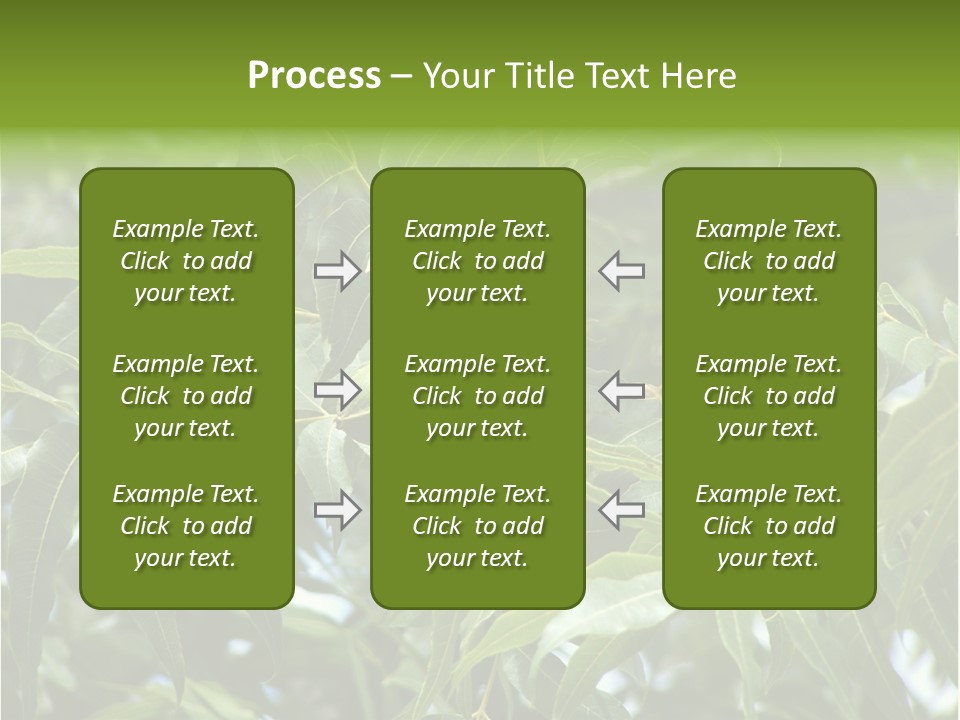 A Green Tree With Leaves And Nuts On It PowerPoint Template