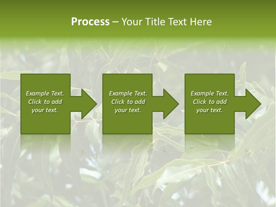 A Green Tree With Leaves And Nuts On It PowerPoint Template