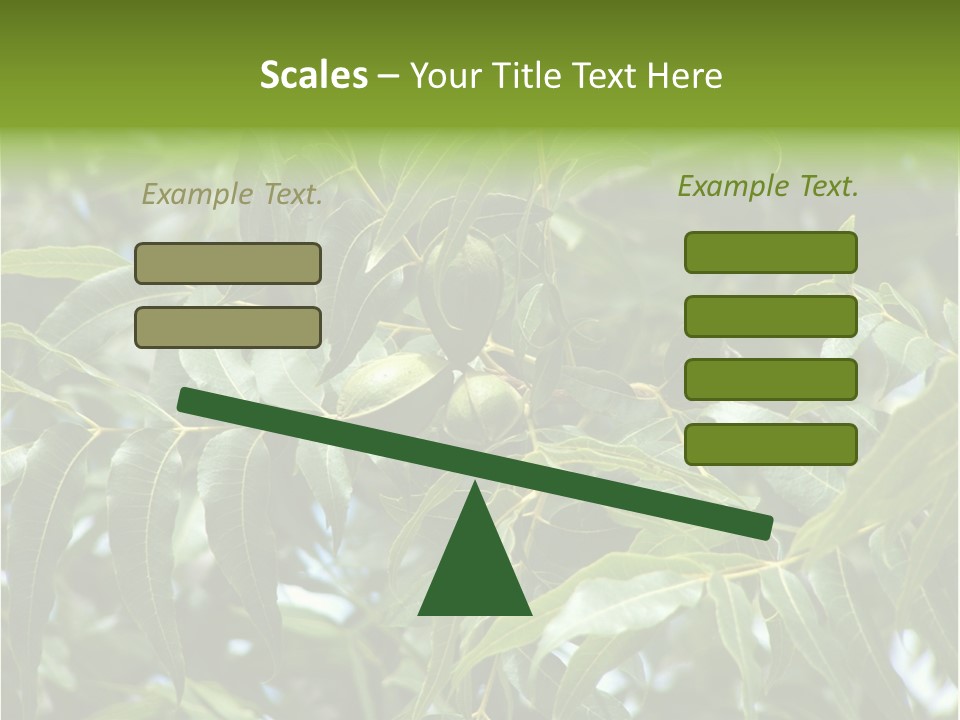 A Green Tree With Leaves And Nuts On It PowerPoint Template