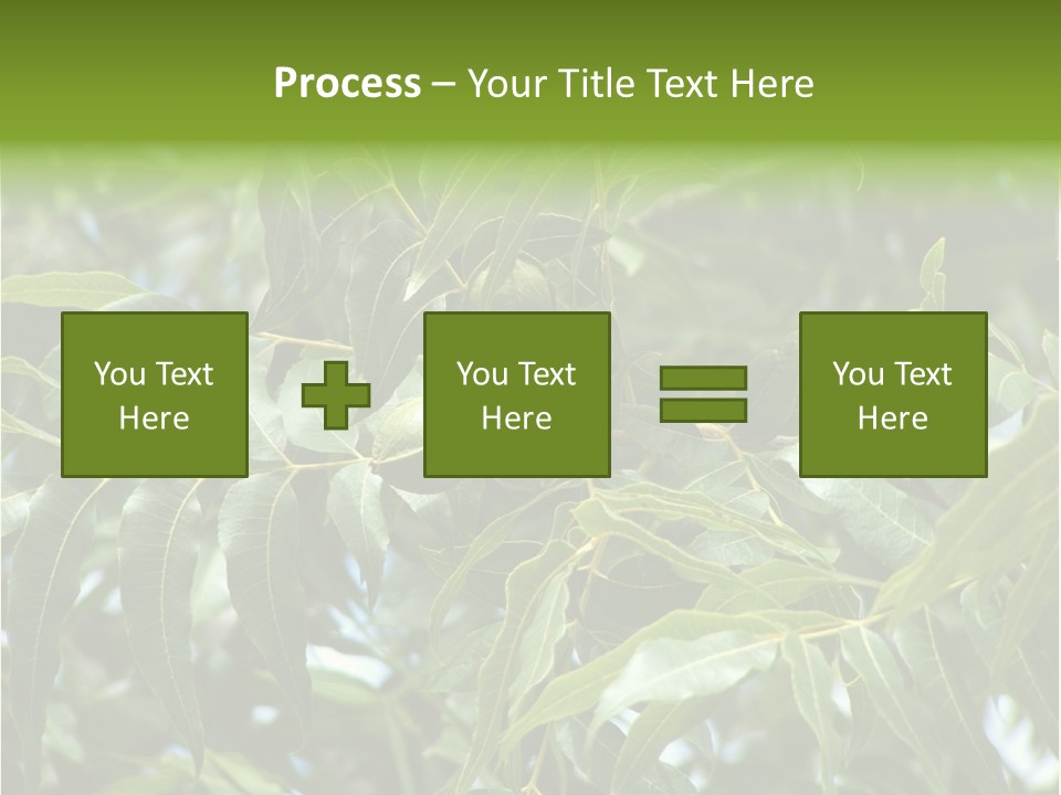 A Green Tree With Leaves And Nuts On It PowerPoint Template