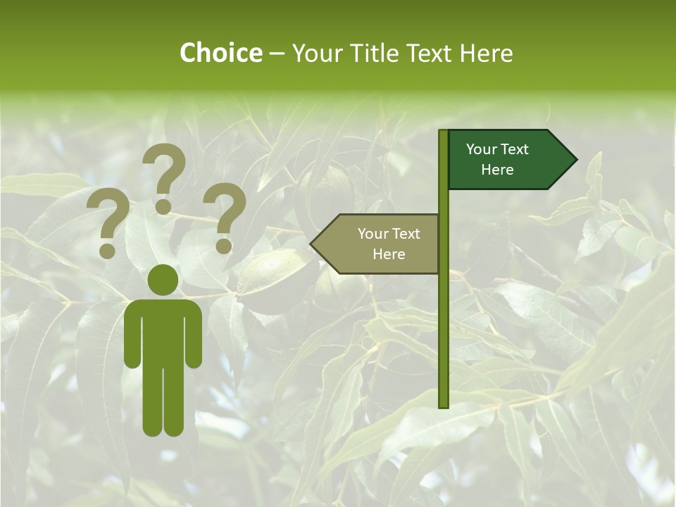 A Green Tree With Leaves And Nuts On It PowerPoint Template