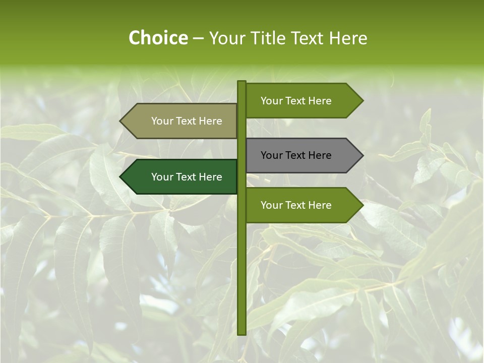 A Green Tree With Leaves And Nuts On It PowerPoint Template