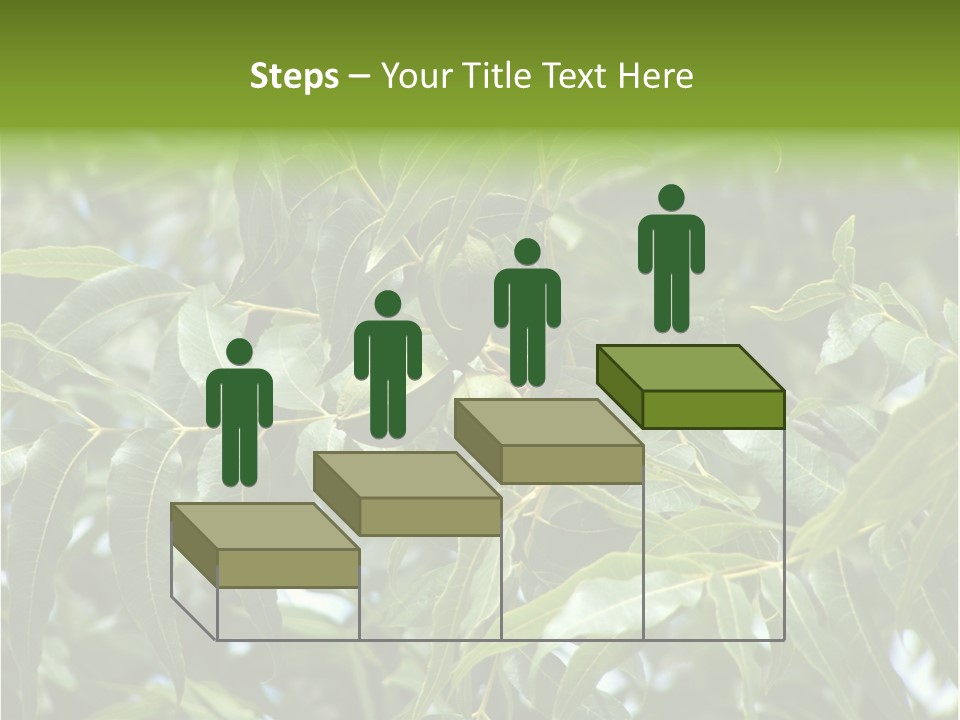 A Green Tree With Leaves And Nuts On It PowerPoint Template