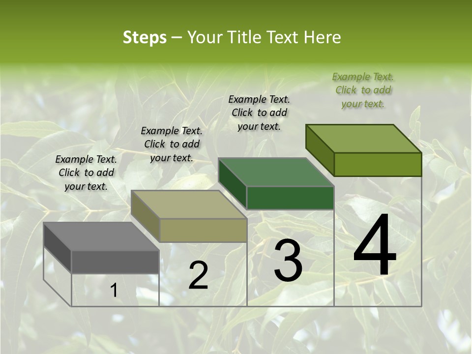 A Green Tree With Leaves And Nuts On It PowerPoint Template