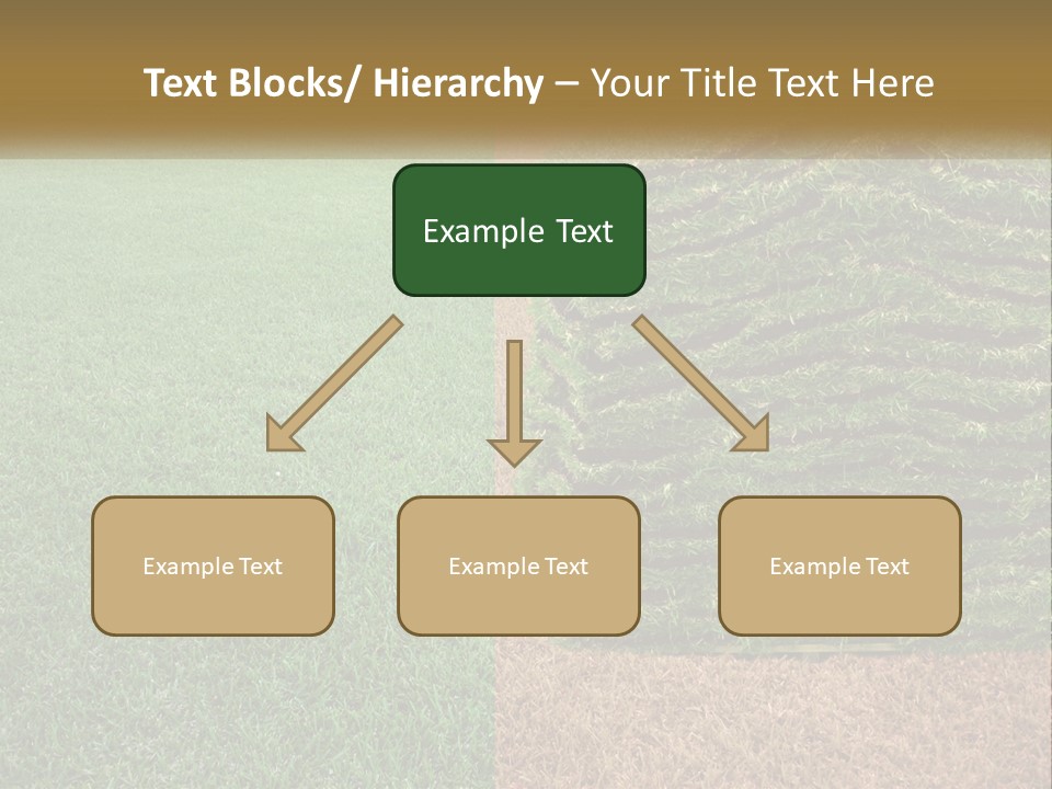 A Large Pile Of Green Grass In A Field PowerPoint Template
