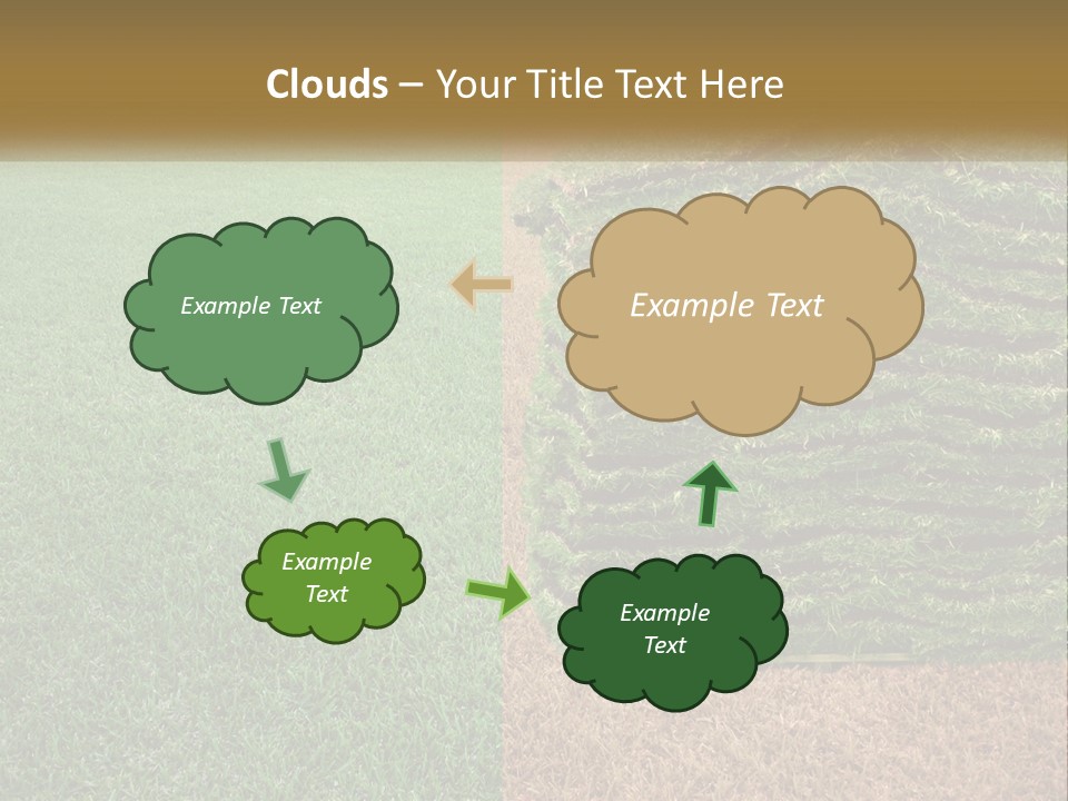 A Large Pile Of Green Grass In A Field PowerPoint Template