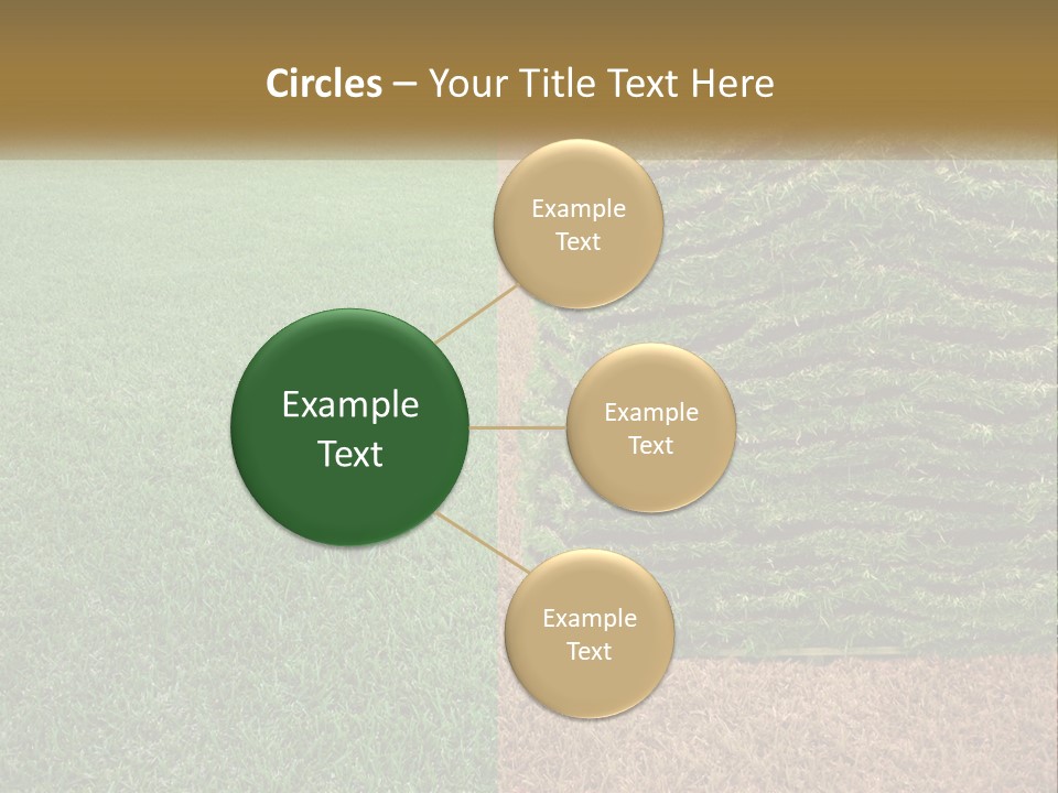 A Large Pile Of Green Grass In A Field PowerPoint Template