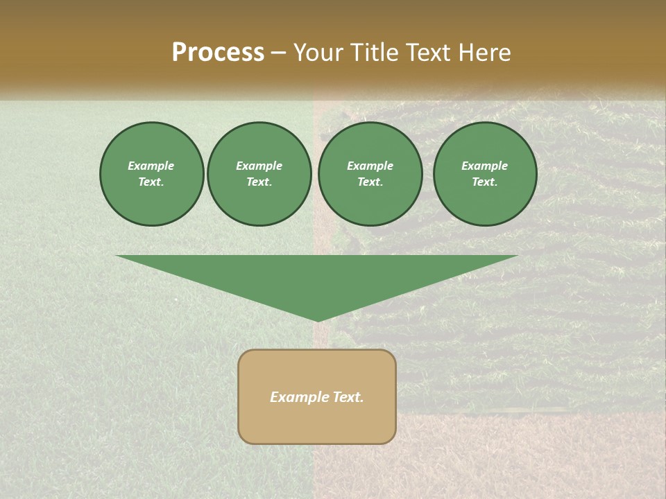A Large Pile Of Green Grass In A Field PowerPoint Template