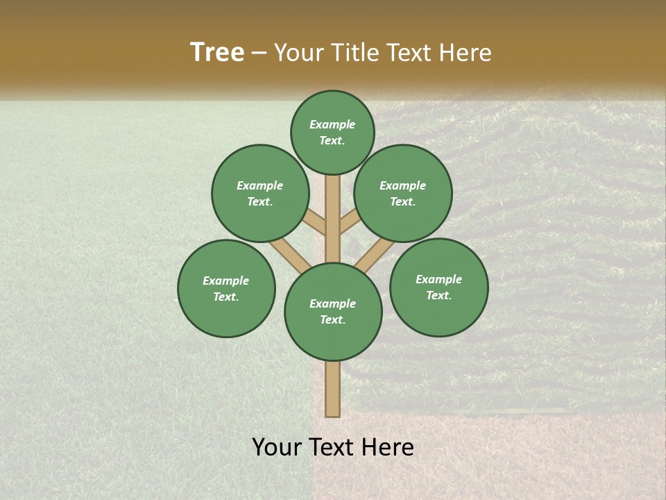 A Large Pile Of Green Grass In A Field PowerPoint Template