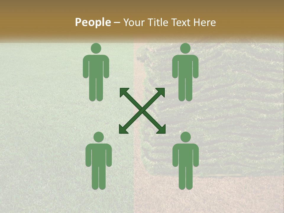 A Large Pile Of Green Grass In A Field PowerPoint Template