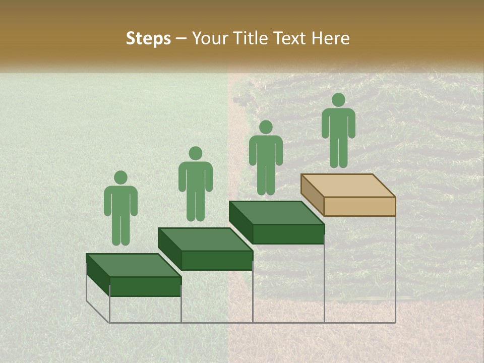 A Large Pile Of Green Grass In A Field PowerPoint Template