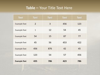 A Person Sitting On A Swing In A Field PowerPoint Template