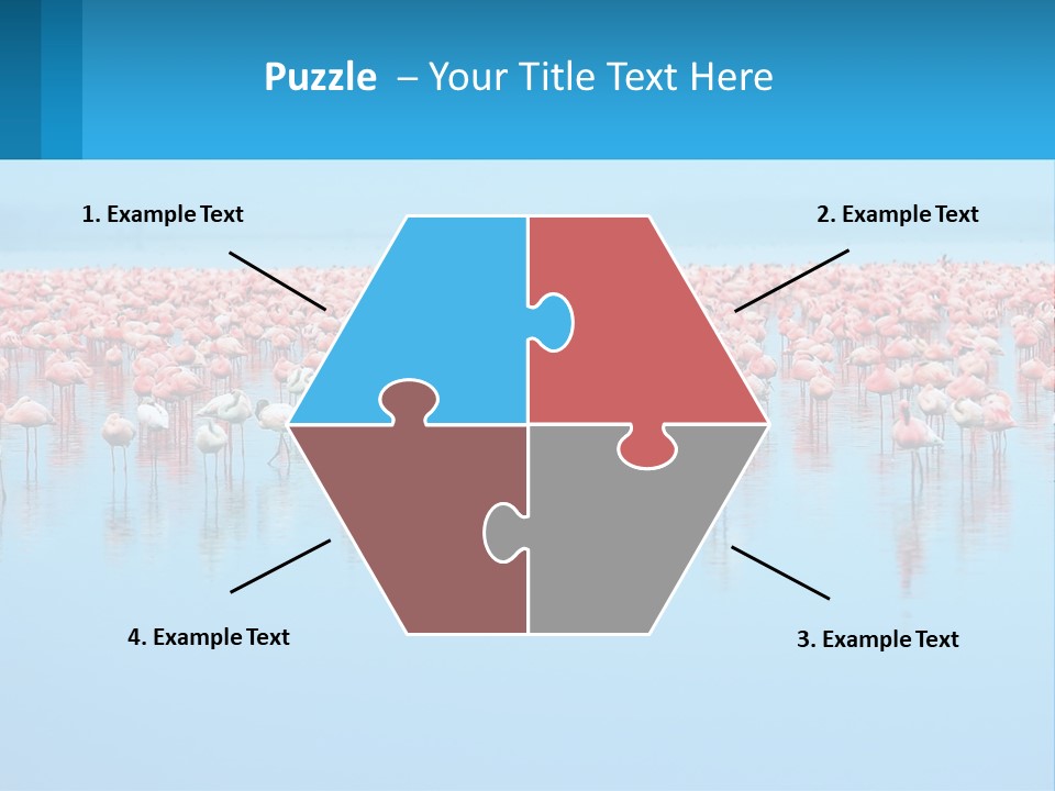 A Large Group Of Flamingos Standing In The Water PowerPoint Template