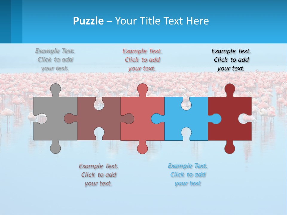 A Large Group Of Flamingos Standing In The Water PowerPoint Template