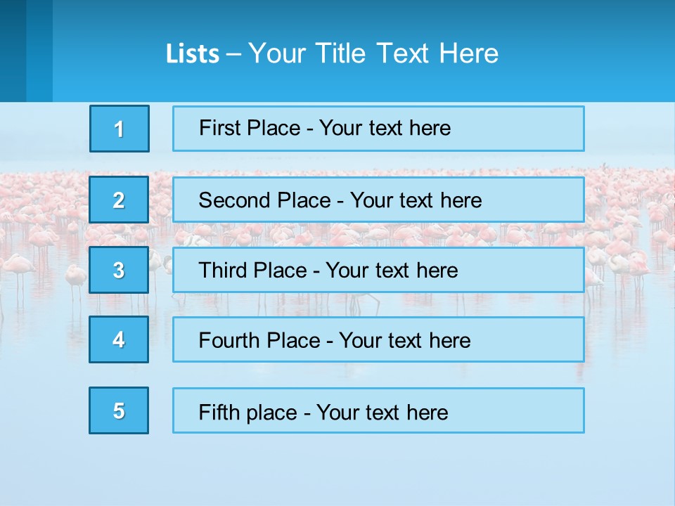 A Large Group Of Flamingos Standing In The Water PowerPoint Template