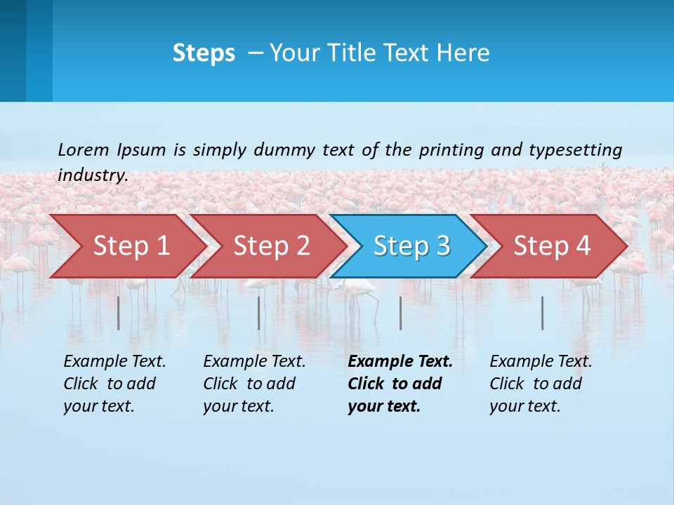 A Large Group Of Flamingos Standing In The Water PowerPoint Template