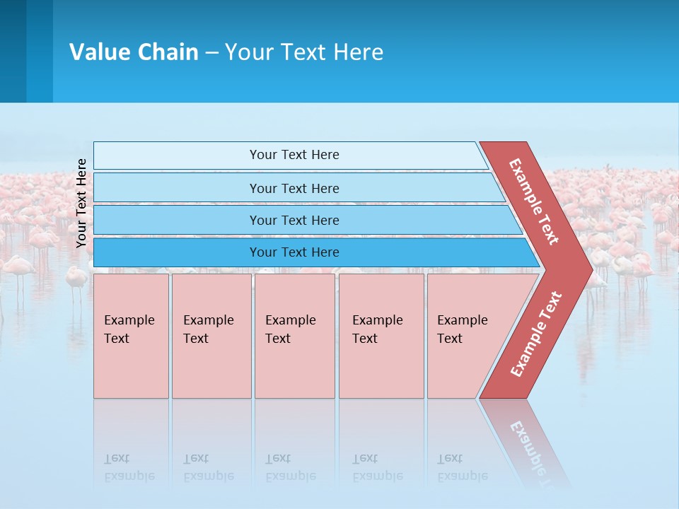 A Large Group Of Flamingos Standing In The Water PowerPoint Template
