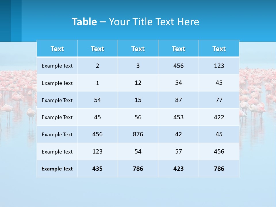 A Large Group Of Flamingos Standing In The Water PowerPoint Template
