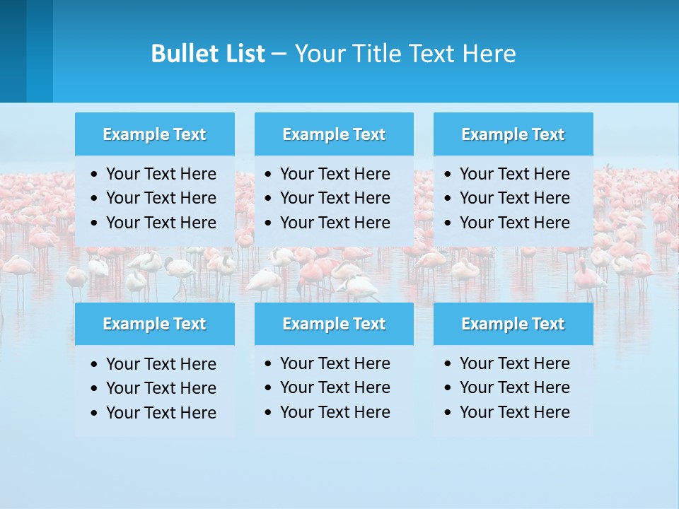 A Large Group Of Flamingos Standing In The Water PowerPoint Template