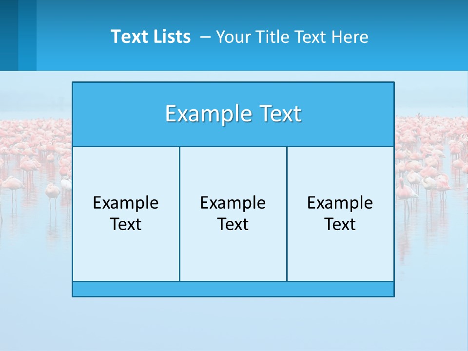 A Large Group Of Flamingos Standing In The Water PowerPoint Template