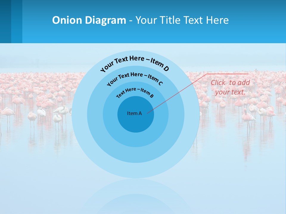 A Large Group Of Flamingos Standing In The Water PowerPoint Template